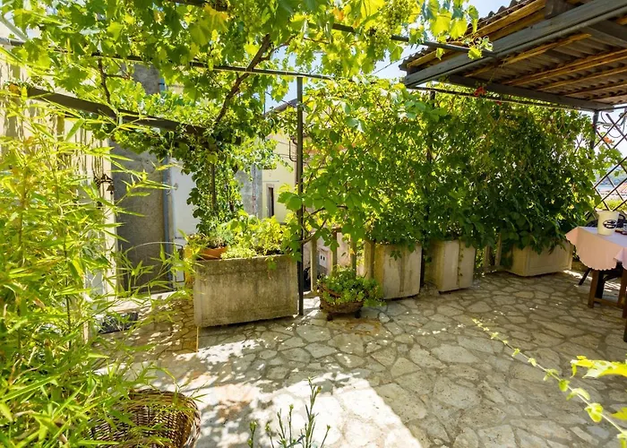 Charming Studio Apartment At House Rustica With Terrace And Nearby Parking